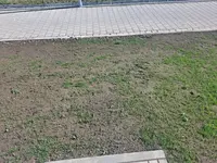 20260430_165411.webp