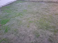 20260428_202144.webp
