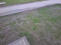 20260428_202148.webp