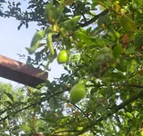 20260502_173626.webp