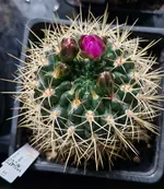 20260503_145100.webp