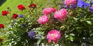 IMG_6675.webp