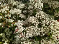 IMG_20260504_120329.webp IMG_20260504_120329.webp