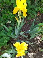 IMG_20260504_115019_1.webp IMG_20260504_115019_1.webp
