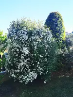 IMG_20260502_174547.webp