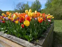P1000915.webp
