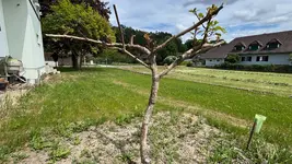 IMG_2628 (1).webp