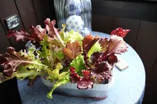 Sommer 0526.webp