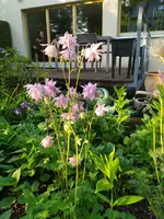 IMG_20260508_191734.webp