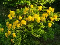 IMG_20260508_191657.webp