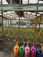 IMG_8254.webp