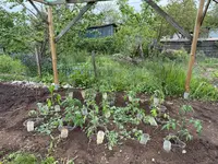 IMG_8242.webp IMG_8242.webp