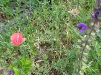 IMG_20260509_121233.webp IMG_20260509_121233.webp