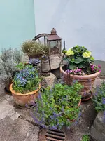 20260508_134504.webp