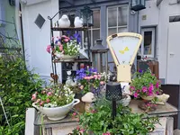 20260508_134431.webp