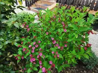 IMG_20260510_084722.webp