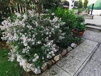 IMG_20260510_084753.webp