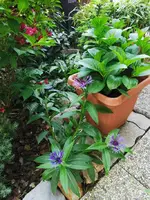 IMG_20260510_084809.webp
