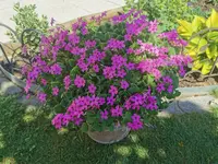 IMG_20260508_121212.webp