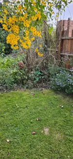 20240929_175646.webp