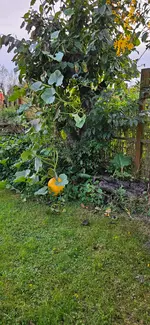 20240929_175716.webp
