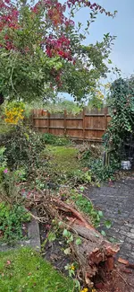 20241003_182636.webp
