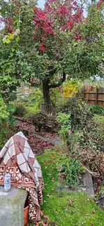 20241003_182639.webp
