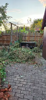20241004_184338.webp