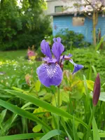 IMG_20260510_150959.webp