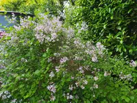 IMG_20260509_175428.webp