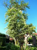 DSCF2439 (2).webp