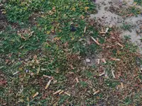 IMG_20241215_155149.webp