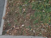IMG_20241215_155159.webp
