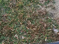 IMG_20241215_155207.webp