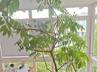 1000005104.webp