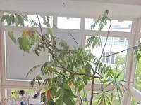 1000005101.webp