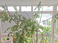 1000005100.webp
