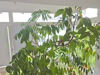 1000005098.webp