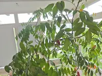 1000005097.webp