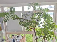 1000005094.webp