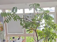 1000005093.webp