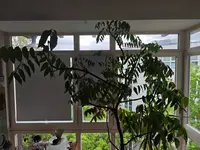 1000005091.webp