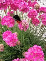IMG_20260507_120531.webp