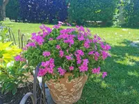 IMG_20260508_121325.webp