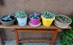 IMG_20260502_174655.webp