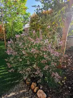 IMG_20260502_174451.webp