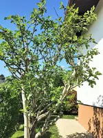 IMG_20260509_095833.webp