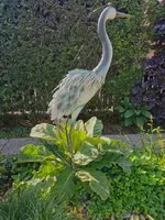 IMG_20260510_081306.webp