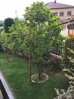 IMG_20260511_190600.webp