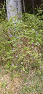 20260514_084015.webp